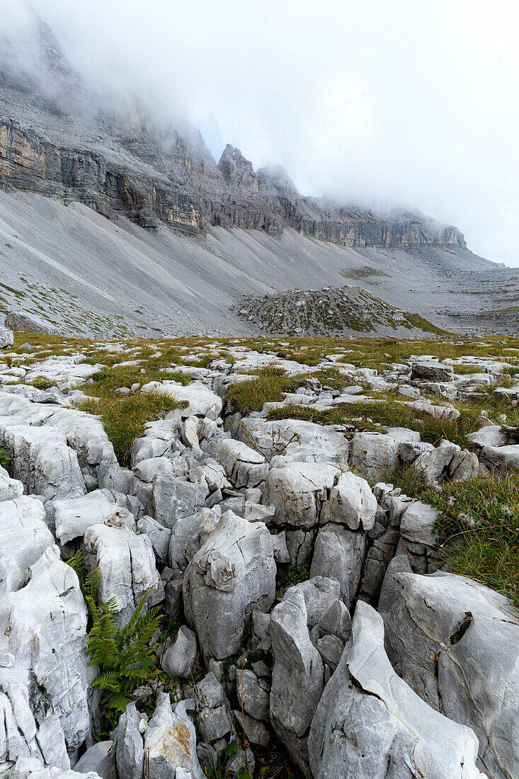 Ancient rocks and stones towards the geological fossil area of Orti della Regina, Brenta Dolomites, Trentino-Alto Adige, Italy