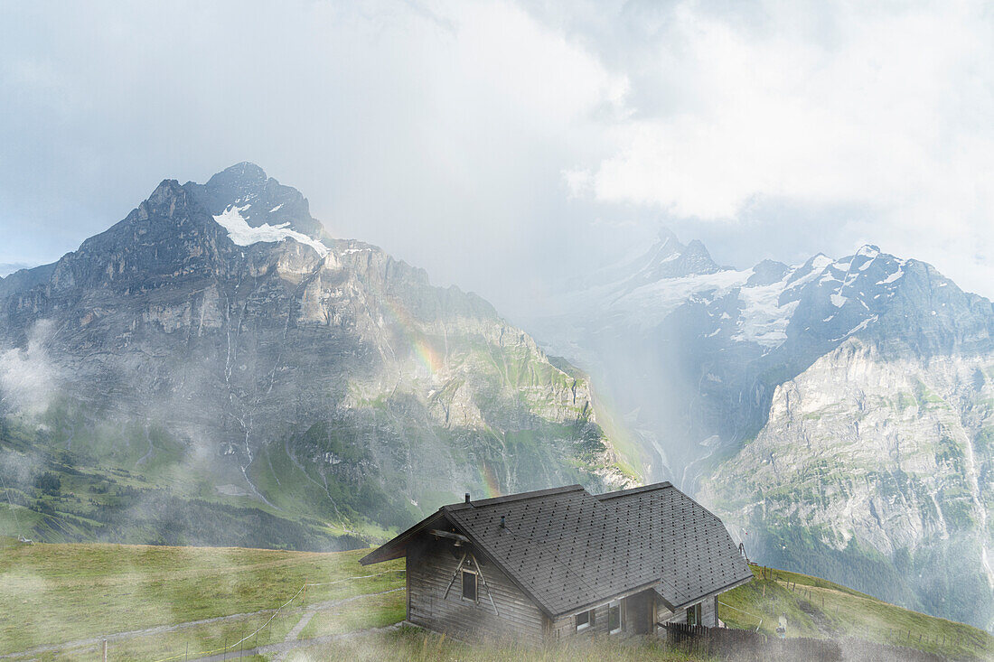 Regenbogen über Wetterhorn und Schreckhorn, Blick von der Holzhütte, Grindelwald, Berner Alpen, Kanton Bern, Schweiz