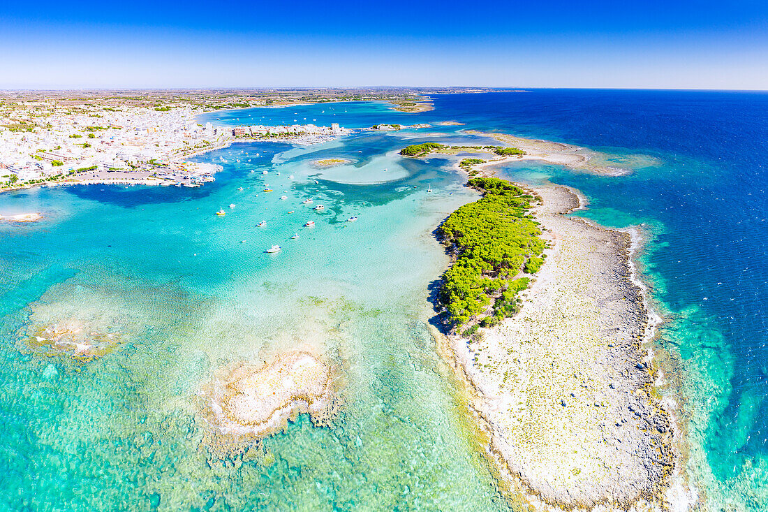 Mediterrane Pinien auf einer kleinen Insel im türkisfarbenen Meer, Luftaufnahme, Porto Cesareo, Provinz Lecce, Salento, Apulien, Italien
