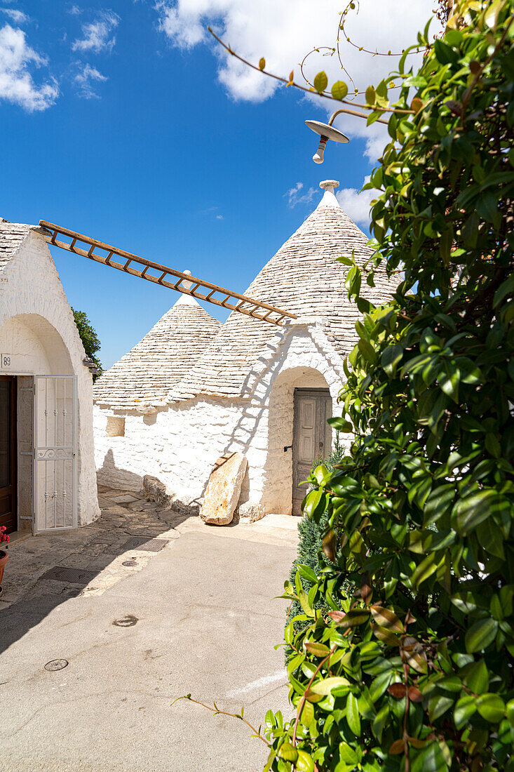 Wooden staircase hanging on the conical roofs of Trulli huts, Alberobello, province of Bari, Apulia, Italy