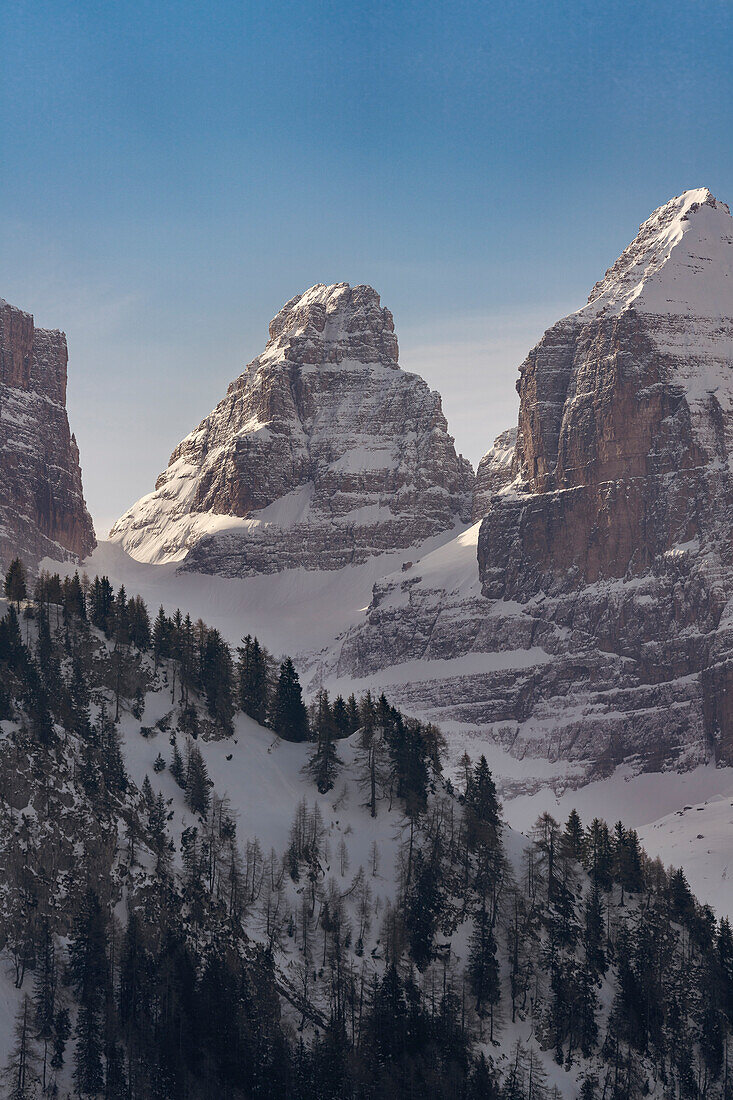 Cima Brenta Bassa Rock in Dolomiti di Brenta Mountains, Madonna di Campiglio, Trento, Trentino Alto Adige, Trento, Italy
