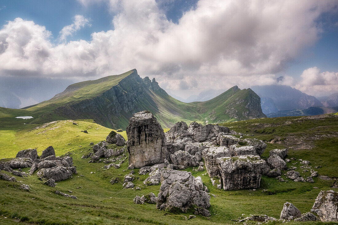 Hochebene von Mondeval, Croda da Lago Gruppe, Dolomiti Bellunesi, San Vito di Cadore, Belluno, Venetien, Italien