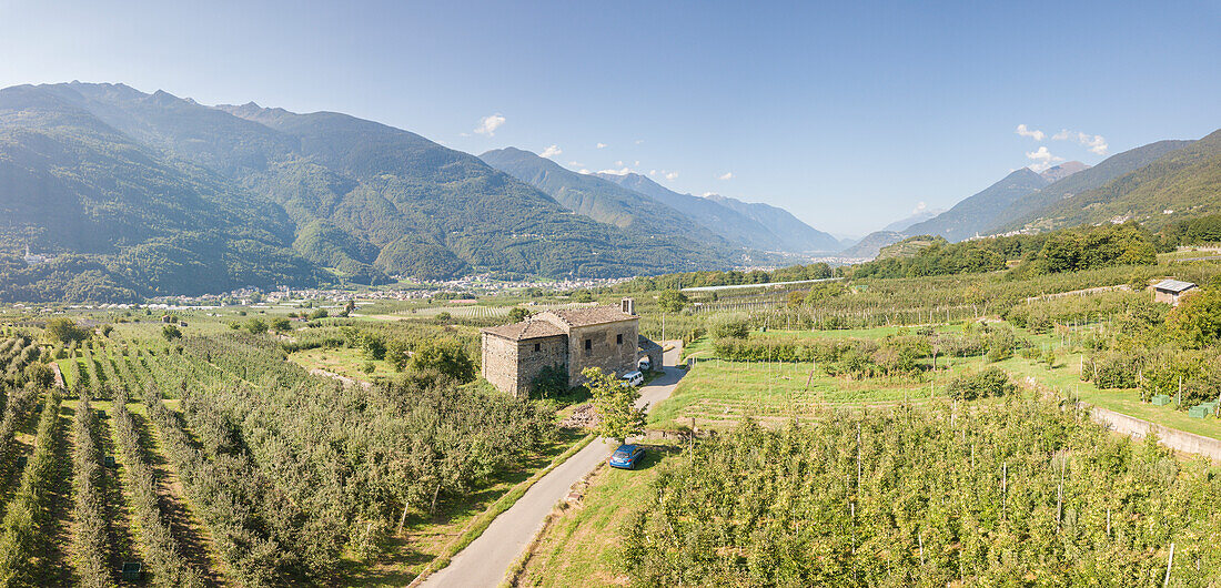 Country road and farm surrounded by apple orchards, Valtellina, Sondrio province, Lombardy, Italy