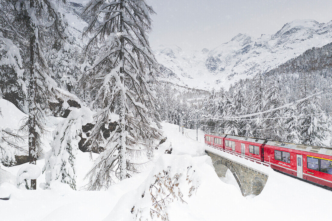 Bernina-Express-Zug bei winterlichem Schneefall, Morteratsch, Engadin, Kanton Graubünden, Schweiz