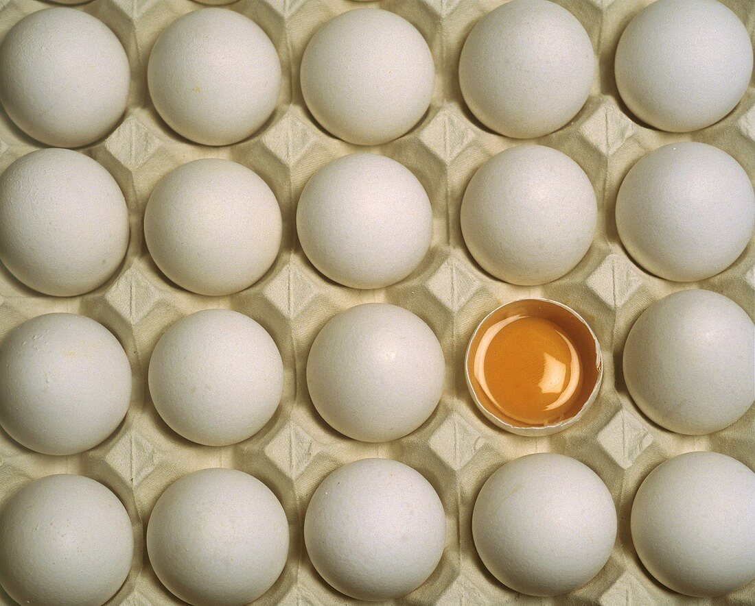 Viele Eier & ein aufgeschlagenes rohes Ei im Eierkarton