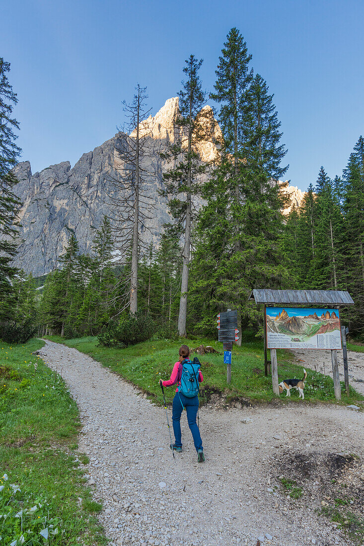 Fröhliche Frau mit Rucksack auf dem Weg zur Zsigmondy Comici Hütte, Fischleintal, Sextner Dolomiten, Südtirol, Italien