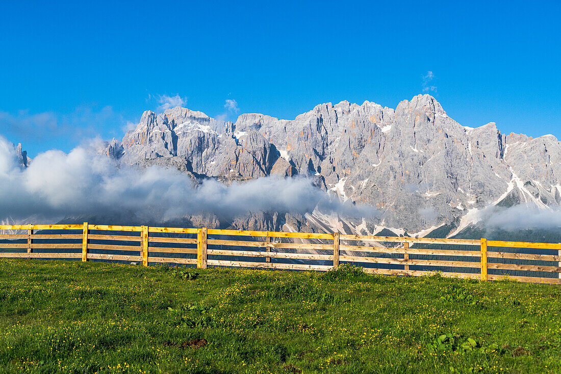 Popera-Gruppe, Cima Undici und Sextner Rotwand von den grünen Wiesen der Malga Nemes, Sextner Dolomiten, Südtirol, Italien