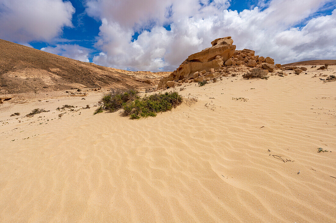 Sandsteinfelsen Schluchten auf Wüstendünen, Barranco de los Encantados, Tindaya, La Oliva, Fuerteventura, Kanarische Inseln, Spanien