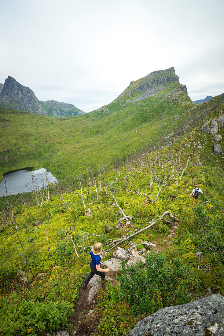 Zwei Wanderer auf einem Wanderweg im grünen Birkenwald in Richtung des Berges Barden, Insel Senja, Provinz Troms, Norwegen