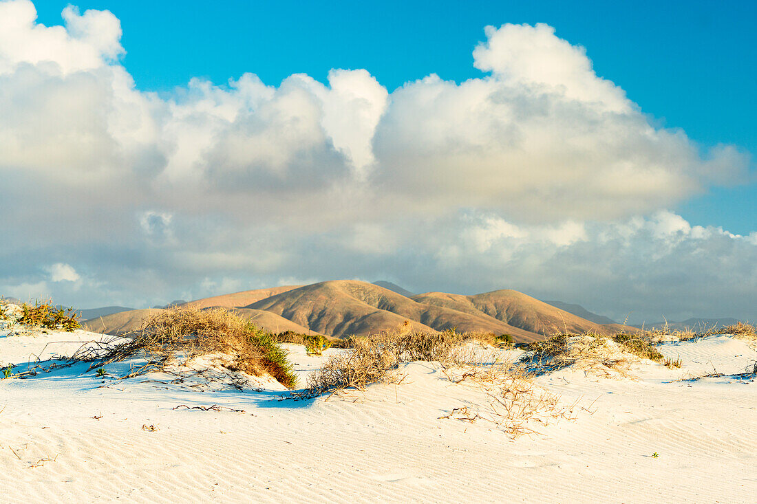 Sanddünen der Wüste mit vulkanischen Bergen im Hintergrund, El Cotillo, La Oliva, Fuerteventura, Kanarische Inseln, Spanien