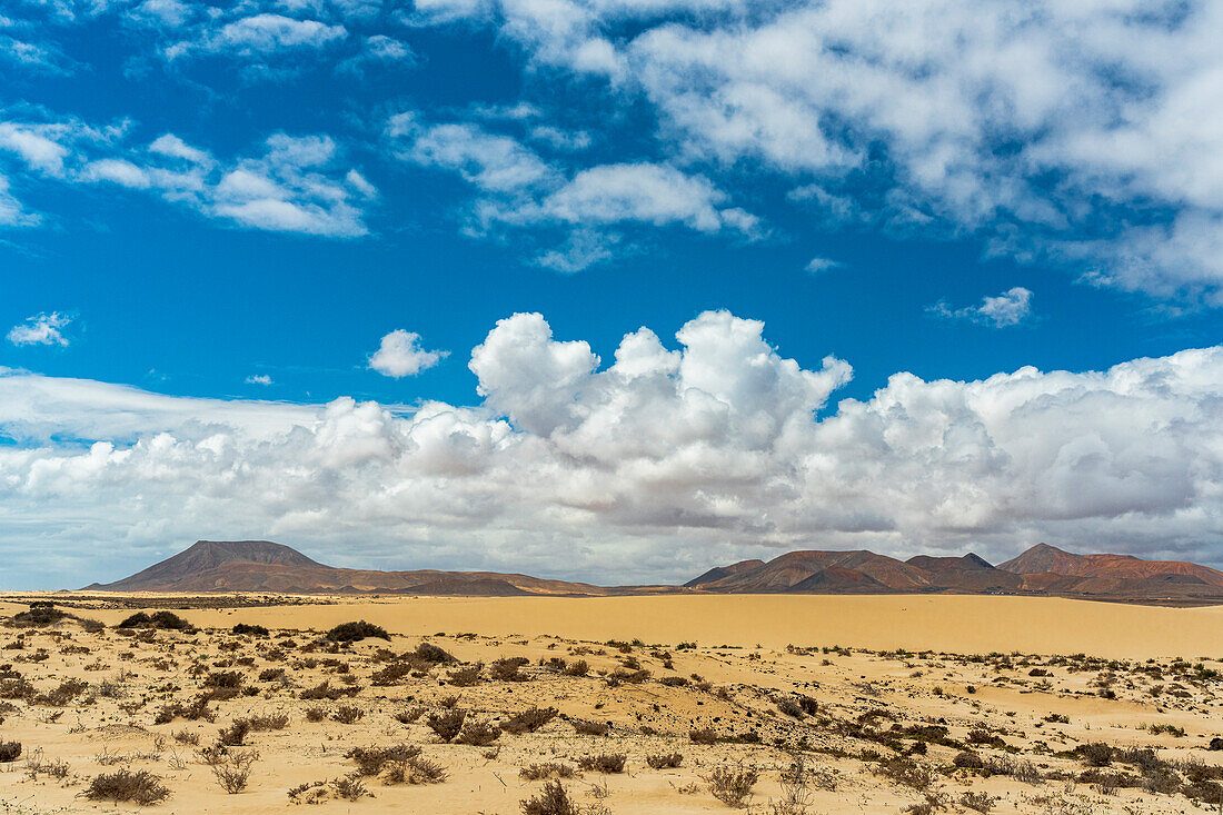 Vulkanische Berge und Wüste entlang der Straße nach Corralejo, Fuerteventura, Kanarische Inseln, Spanien