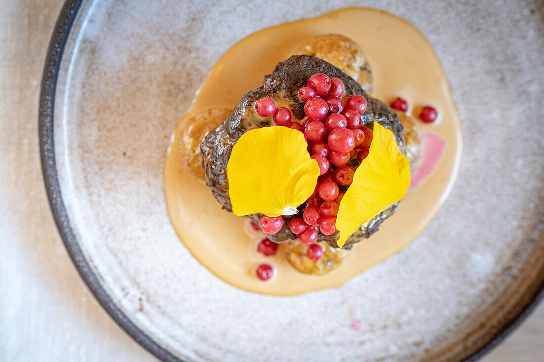 Traditional Scandinavian dish with reindeer fillet and lingonberries in creamy sauce, Arctic Bath Hotel, Lapland, Sweden