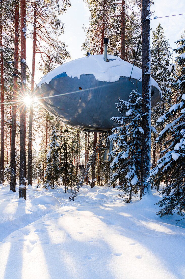 Wintersonne über dem futuristischen UFO-förmigen Zimmer zwischen Bäumen im verschneiten Wald, Tree Hotel, Harads, Lappland, Schweden