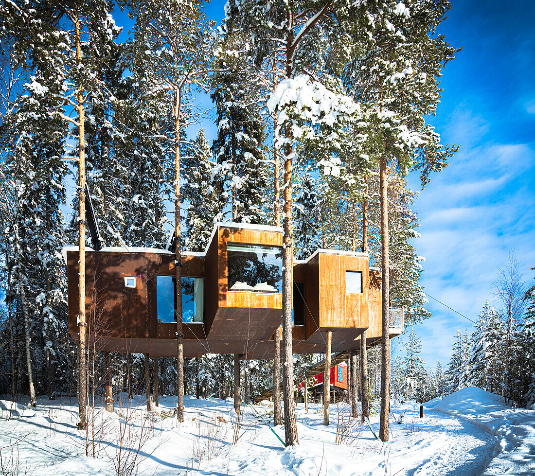 Clear winter sky over the wood cottage with panoramic windows set among snowy trees, Tree hotel, Harads, Lapland, Sweden