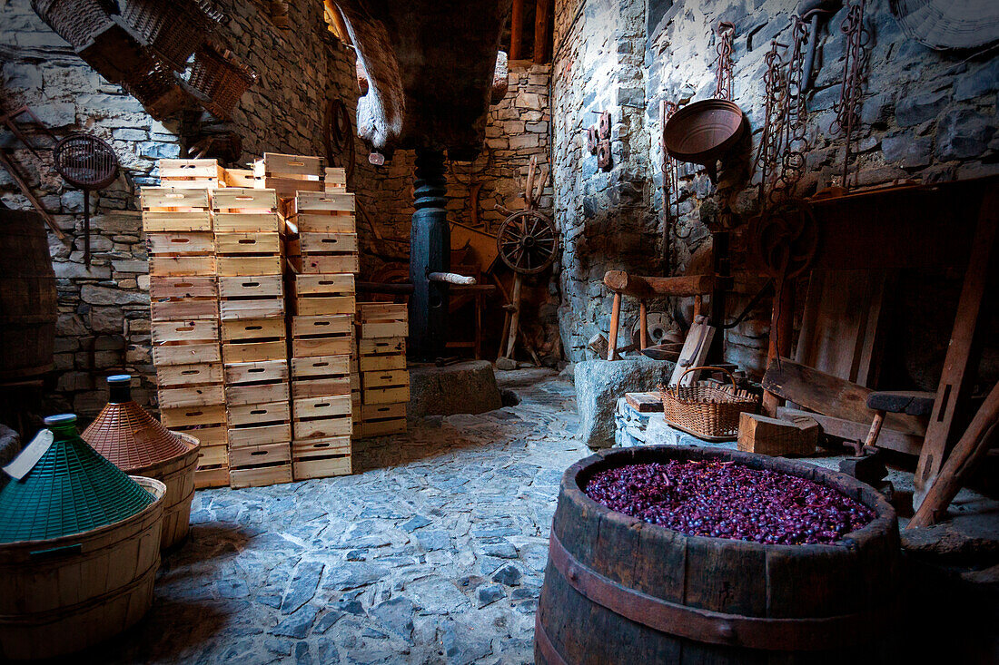 Typische Weinpresse am Comer See in Palanzo, Provincia di Como, Lombardei, Italien, Westeuropa