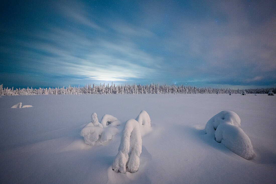 Wolken am Nachthimmel über einsamen, gefrorenen Bäumen in der wilden, verschneiten Landschaft, Iso Syote, Lappland, Finnland