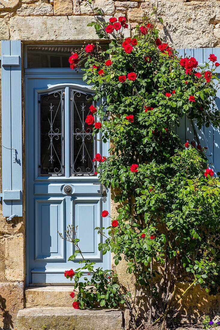 Flowery house, flavigny sur ozerain, (21) cote-d'or, burgundy, france