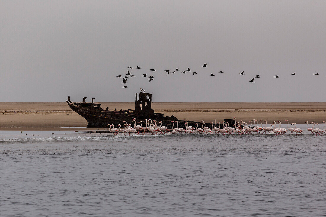 Walfischbucht; Swakopmund; Namibia; Südliches Afrika