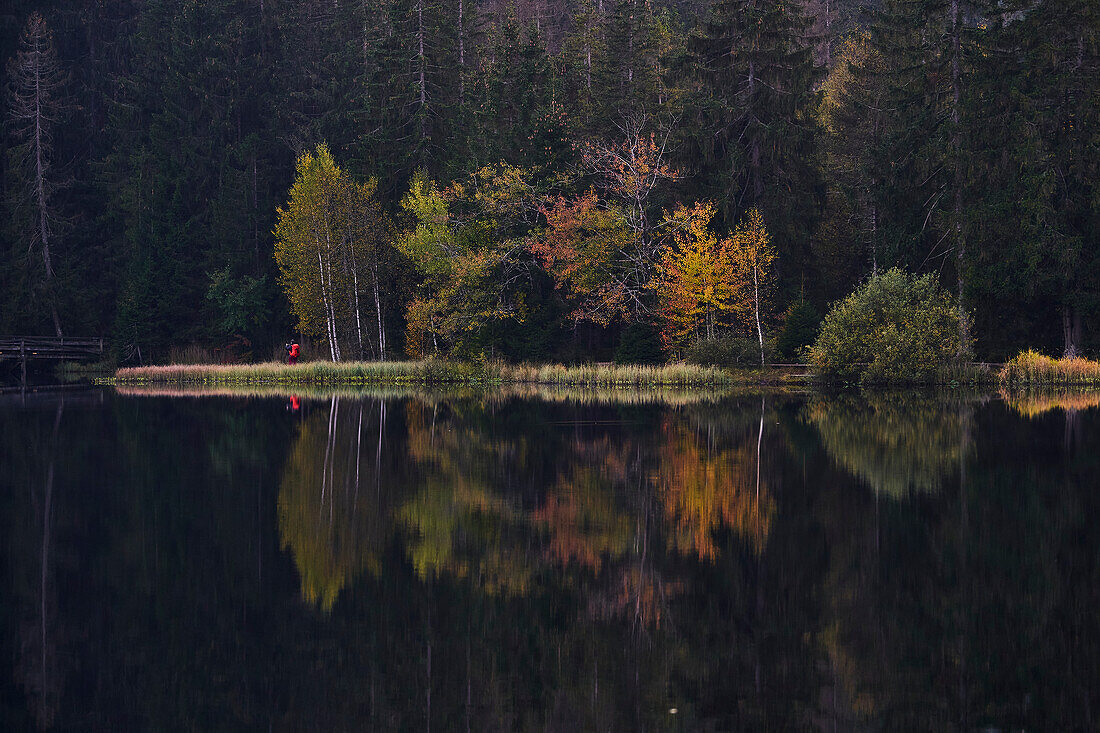 Etang de la Gruère in autumn, Kanton Bern, Switzerland, Western Europe