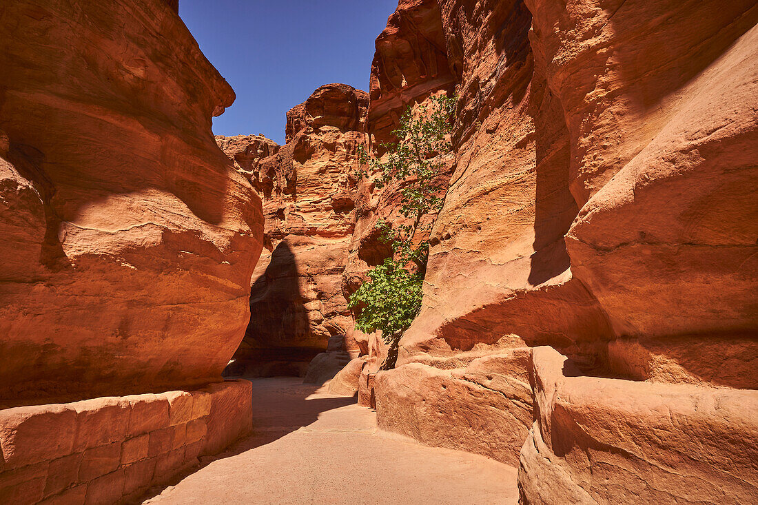 Siq, Petra, Wadi Musa, Jordan, Middle East