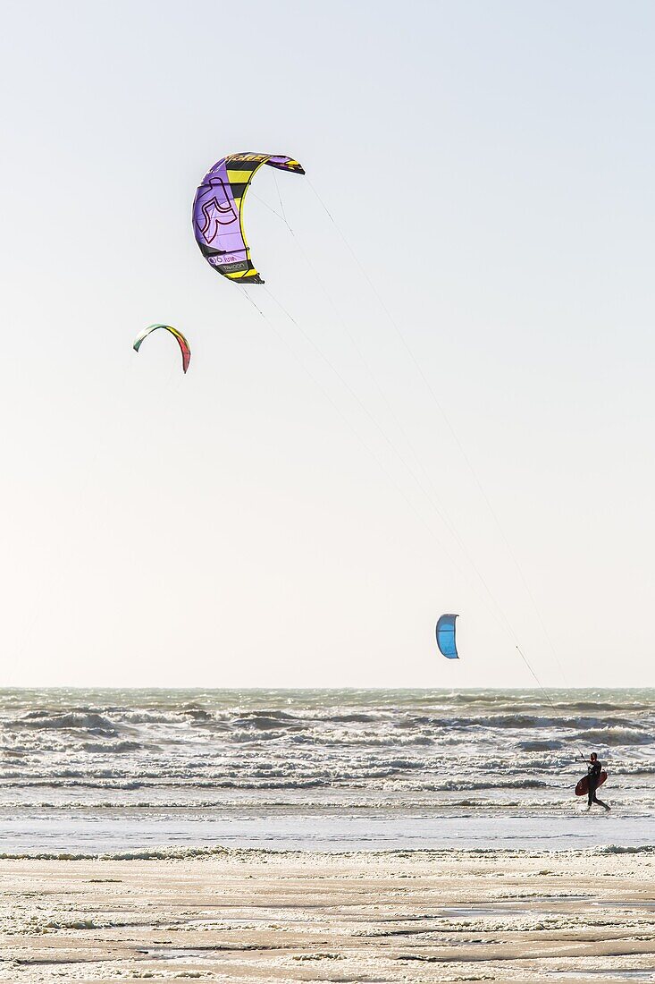 Kitesurf, strand von cayeux sur mer, somme, picardie, haut de france, frankreich, europa