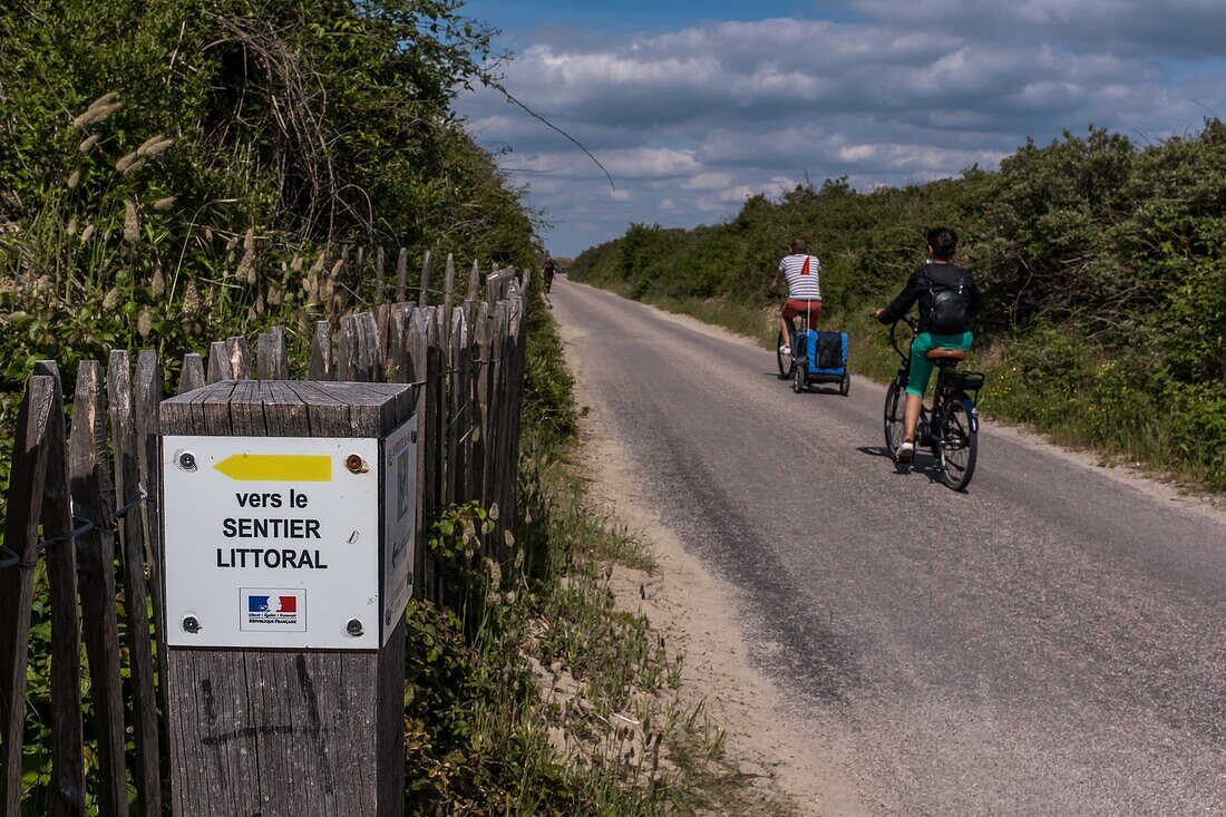 Coastal path, route blanche (white route), cayeux sur mer, somme, picardie, haut de france, france, europe