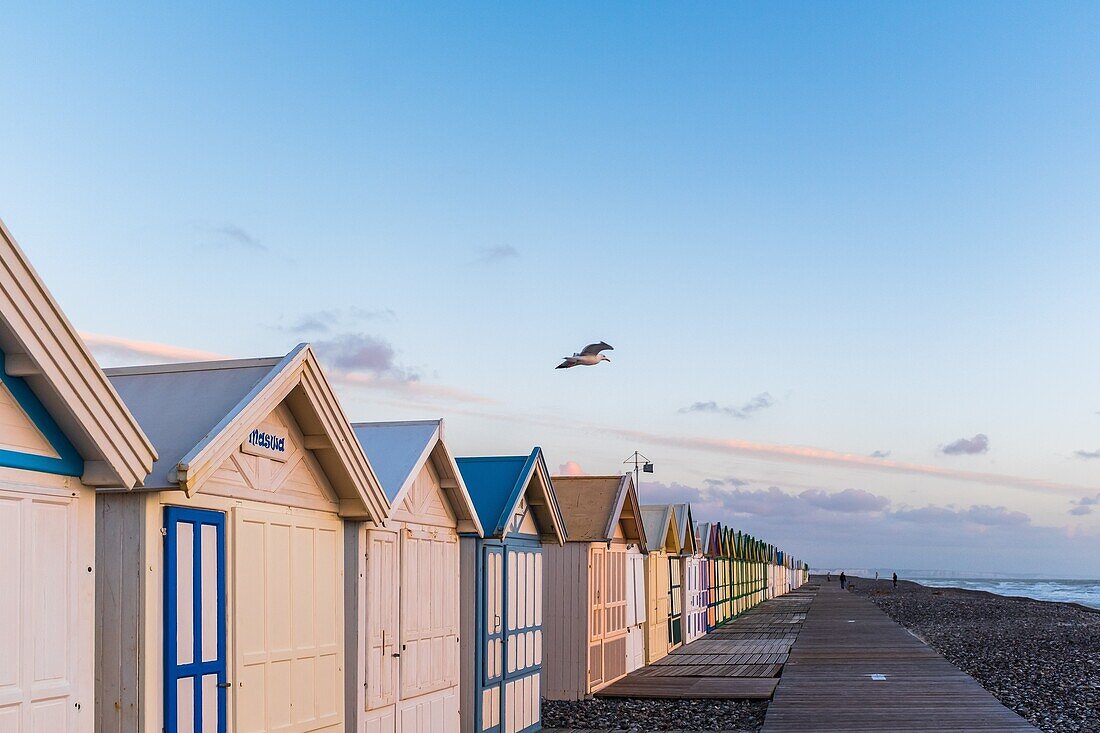 Boardwalk, beach of cayeux sur mer, somme, picardie, haut de france, france, europe