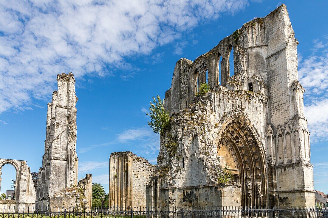 Ruins of the saint bertin abbey, saint omer, (62) pas-de-calais, france