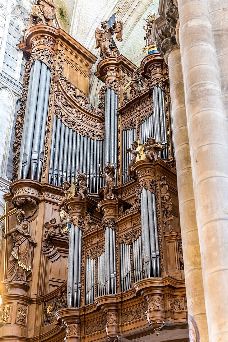 Organ, notre dame de saint omer cathedral, saint omer, (62) pas-de-calais, france