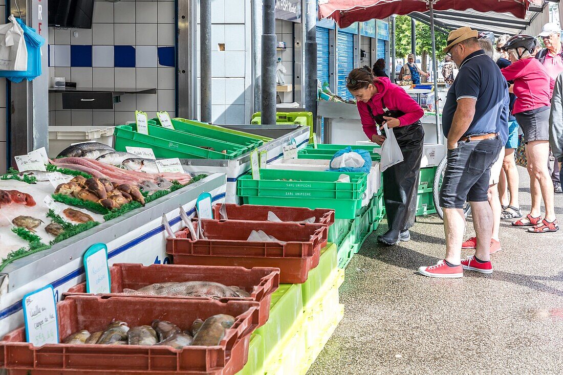 Fischmarkt, boulogne sur mer, (62) pas-de-calais, frankreich