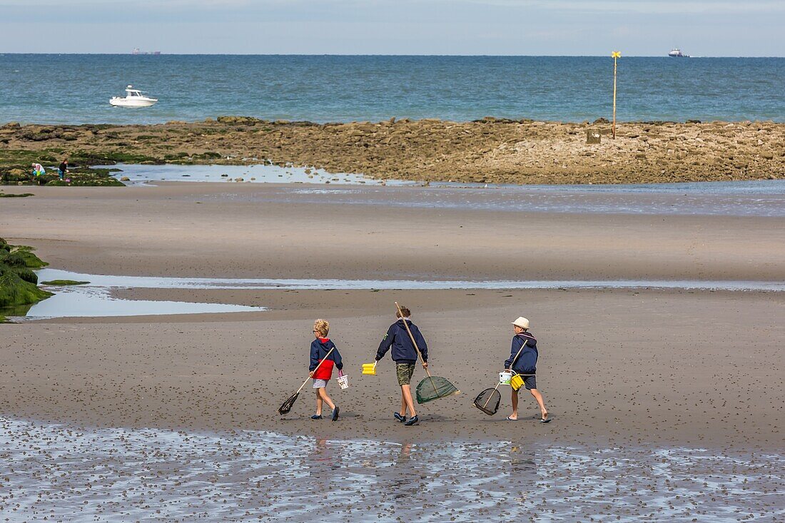 Beach, wimereux, (62) pas-de-calais, france