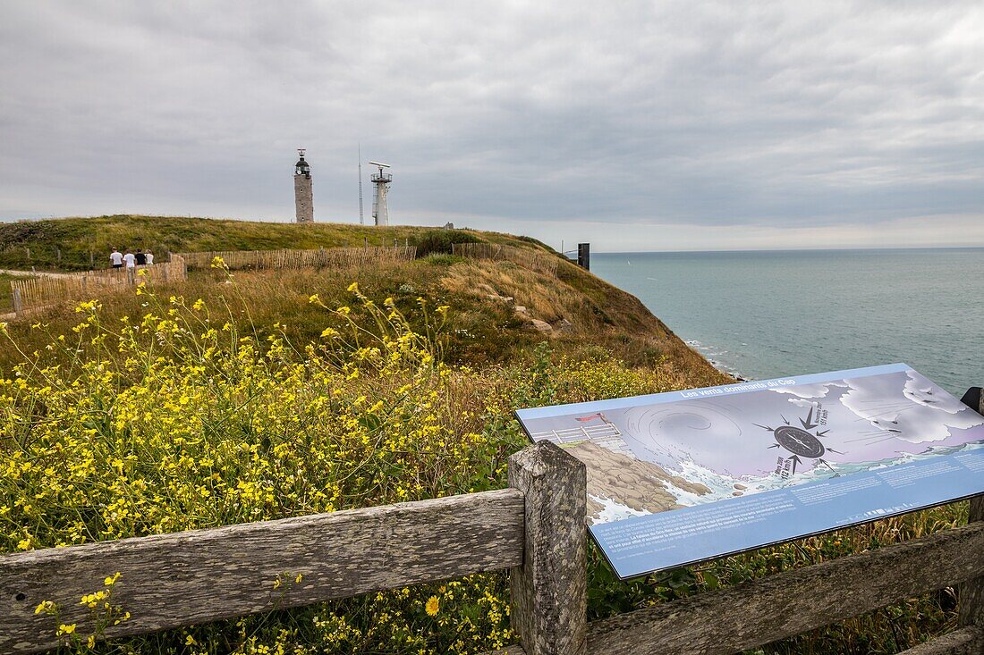 Gris nez (graue nase) umhang, audinghen, (62) pas-de-calais, frankreich