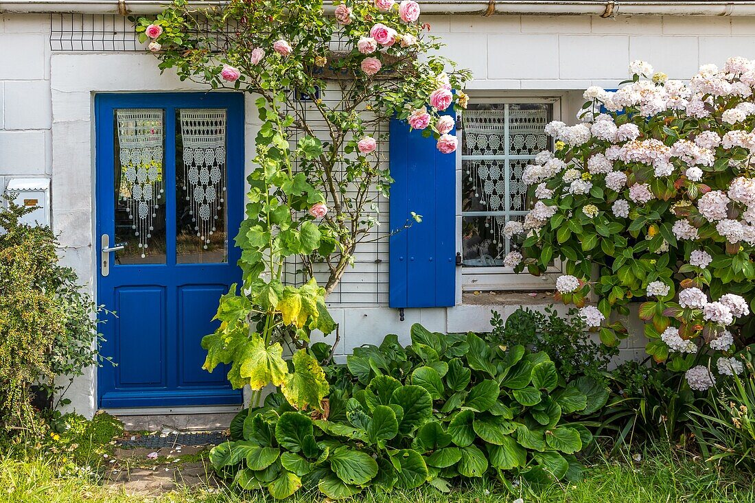 Fisherman's house, wissant, (62) pas-de-calais, france