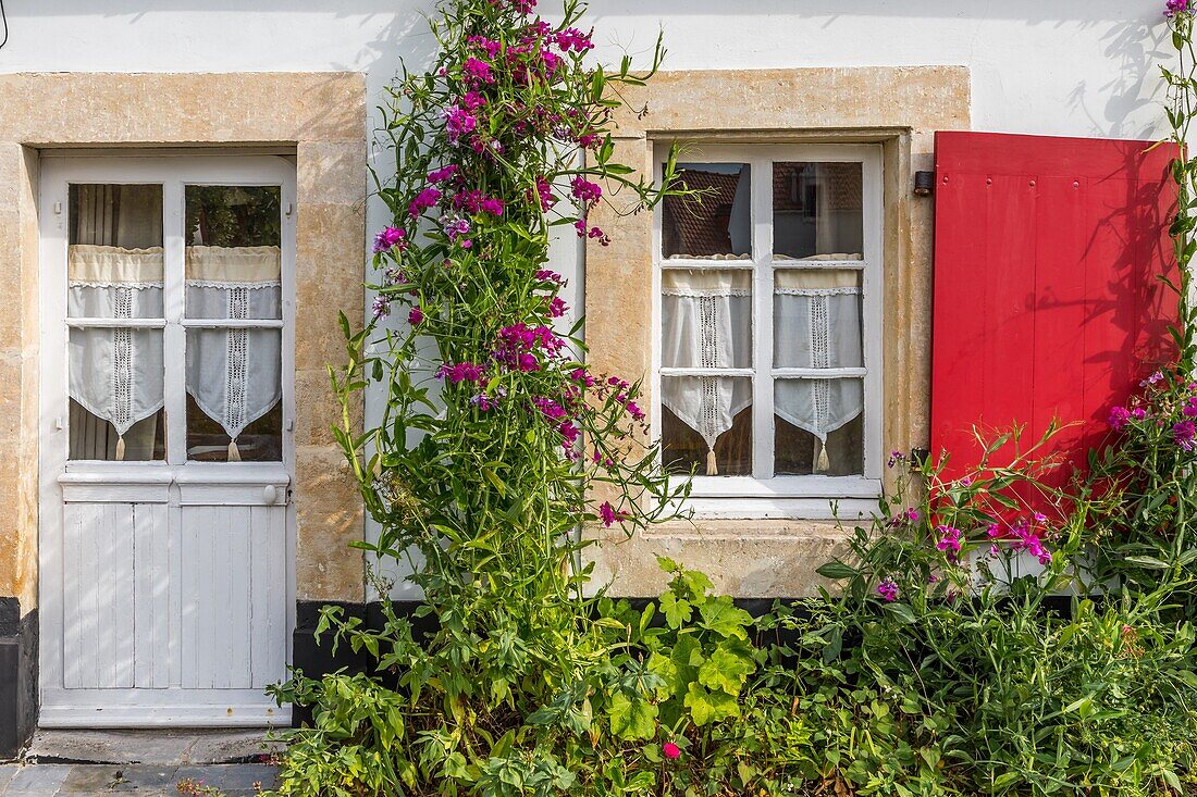 Fisherman's house, wissant, (62) pas-de-calais, france