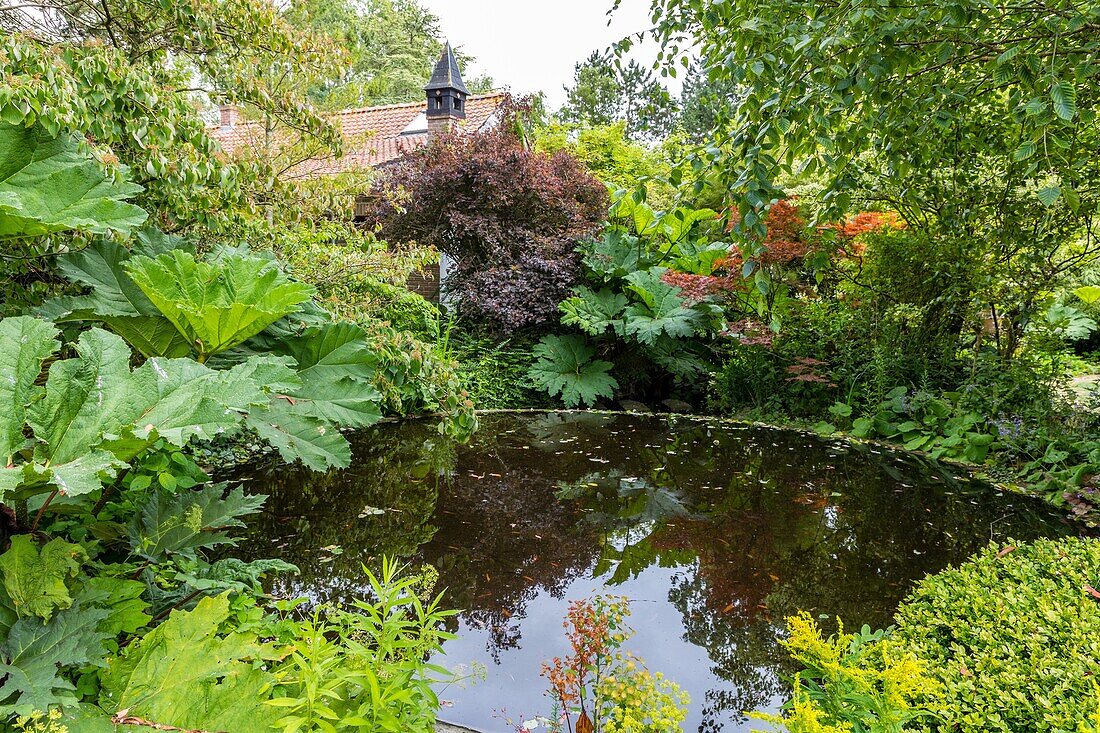 Botanischer Garten von Beau pays, calais, (62) pas-de-calais, frankreich