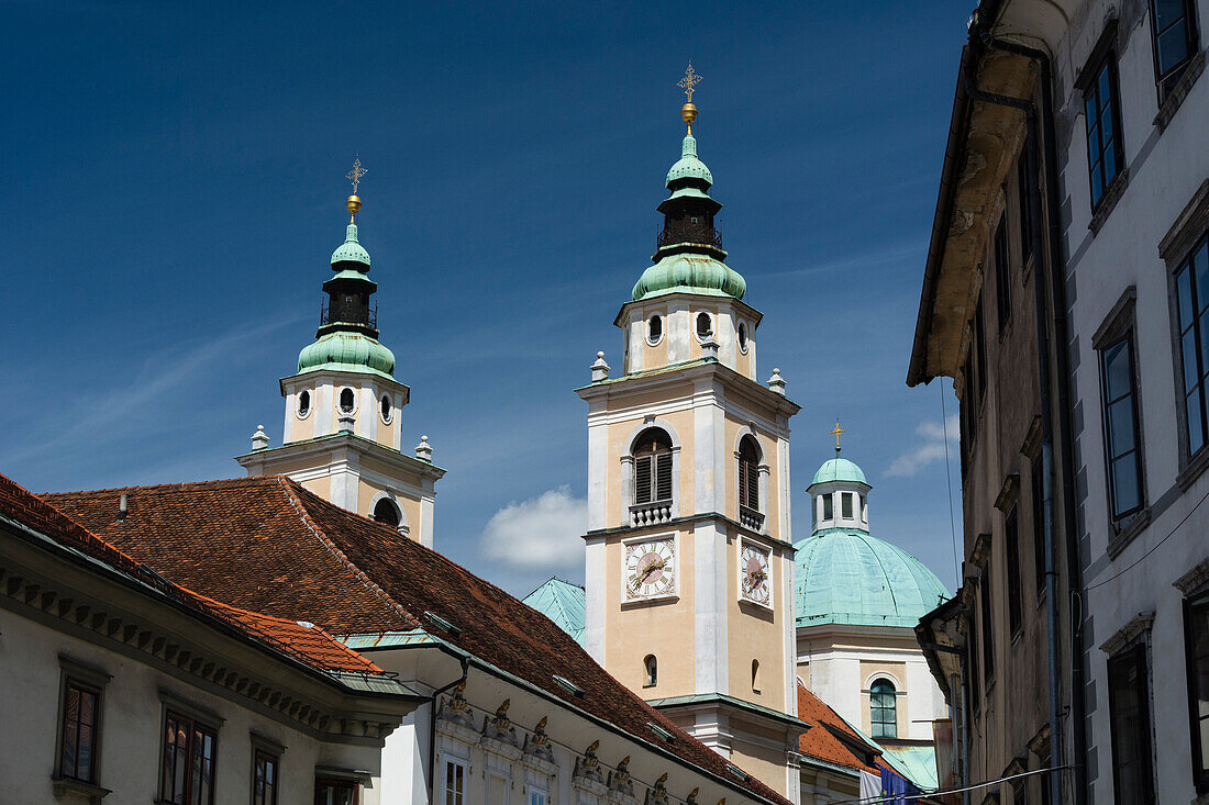 Die Kathedrale des Heiligen Nikolaus, Ljubljana, Slowenien.