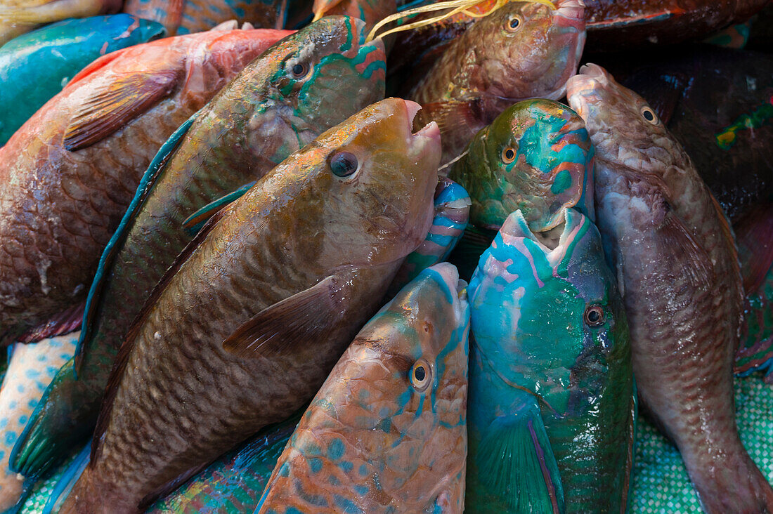 Tropische Fische zum Verkauf auf dem Victoria-Markt, Mahe, Seychellen