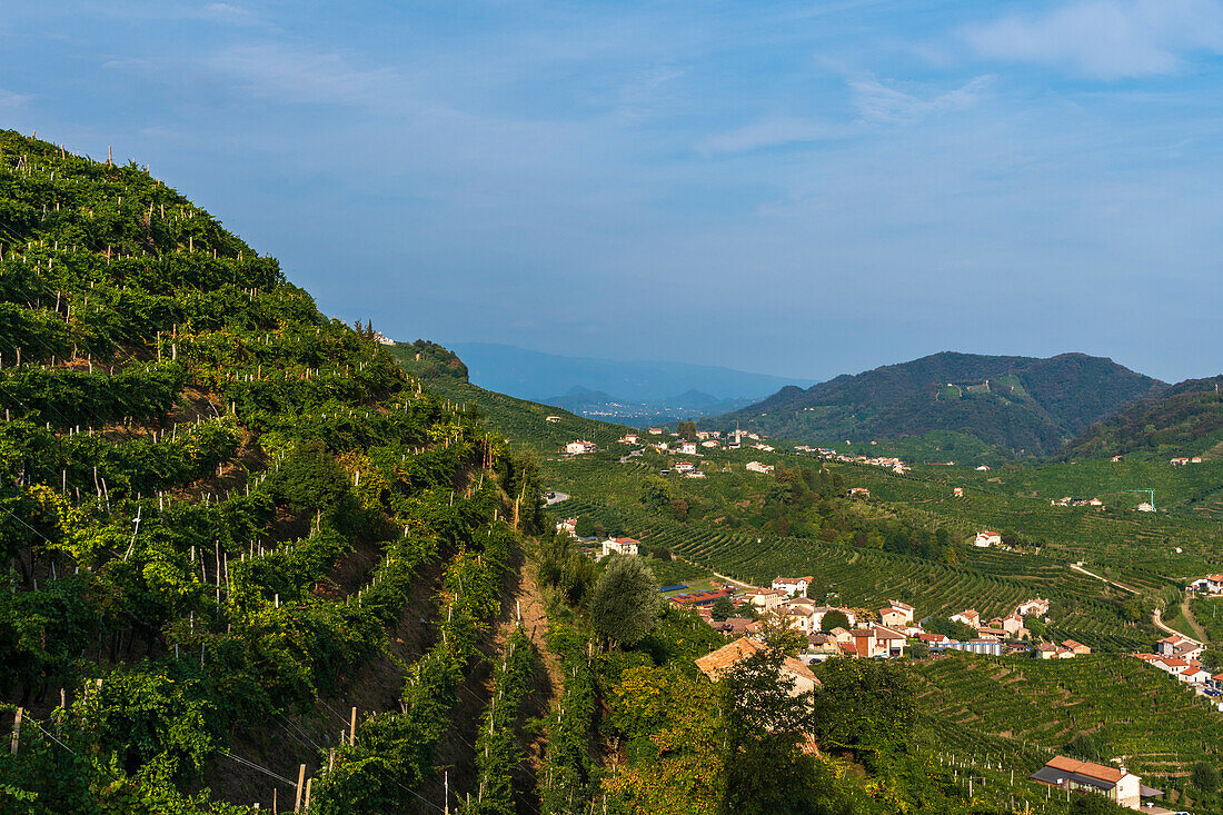 Cartizze-Hügel, Venetien, Italien.