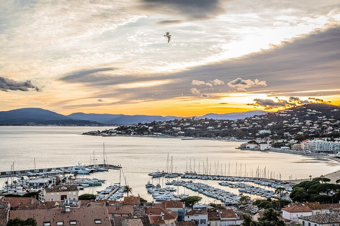 Sainte maxime marina and the gulf of saint tropez, sainte maxime