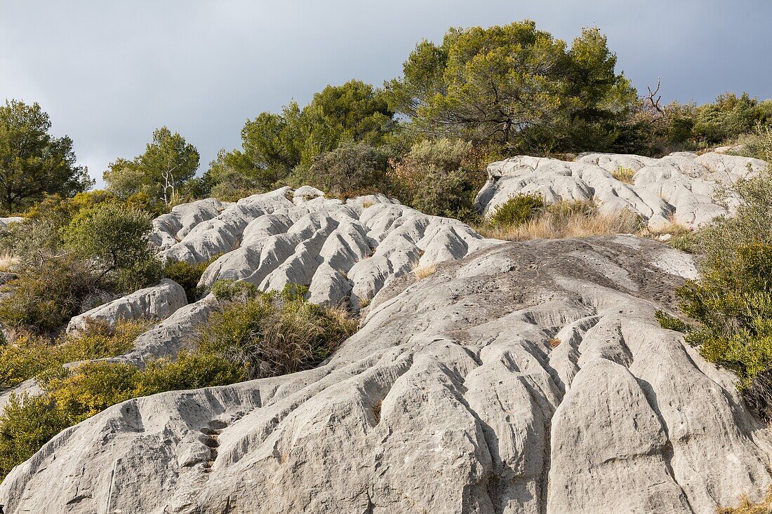 Lauves oder provenzalische Liebeskugeln, Steinplatten aus dem Sediment eines Urmeeres, Dorf Tourrettes sur loup, alpes-maritimes, provence-alpes-cote d'azur (06)