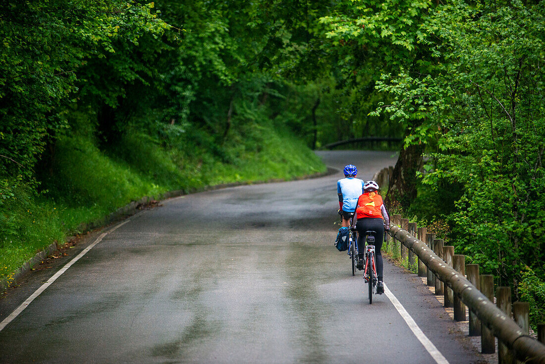 Cyclists on the way of Covadonga lakes, Picos de Europa, Parque Nacional de los Picos de Europa, Asturias, Cantabria, Spain, Europe. One of the stops of the Transcantabrico Gran Lujo luxury train.