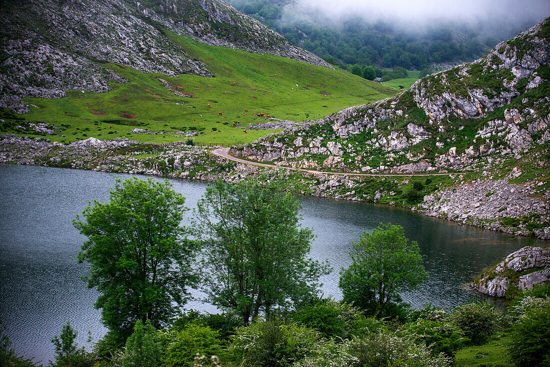 Peaks of Europe Picos de Europa National Park. A glacial Enol Lake Ercina. Asturias, Spain, Europe