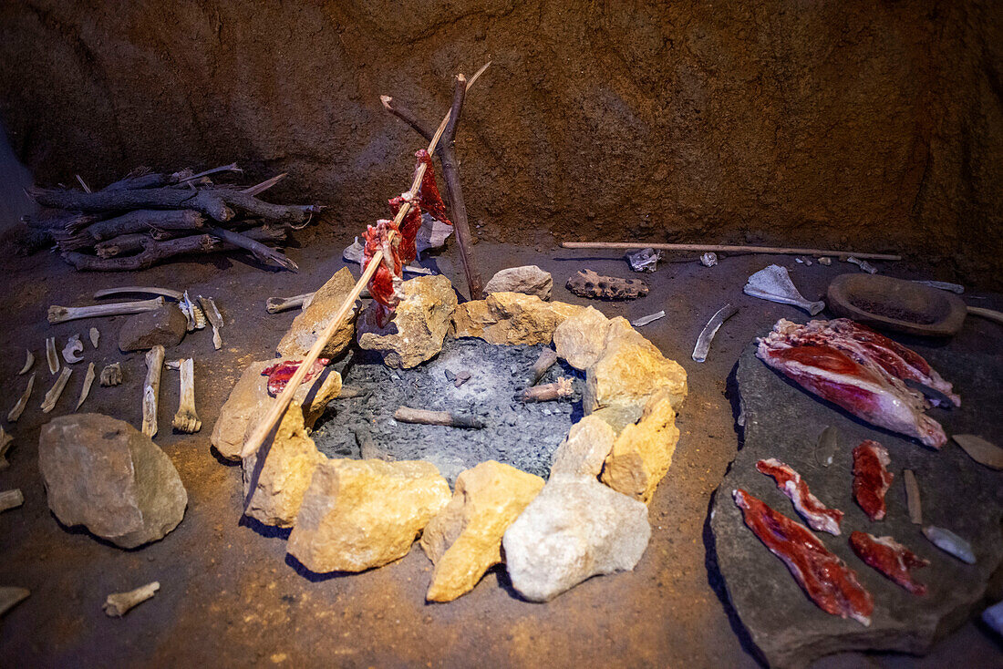 Paläolithische Werkzeuge und Nachbildung einer Höhlenmalerei mit Bison, Nationalmuseum und Forschungszentrum von Altamira, Santillana del Mar, Kantabrien, Spanien