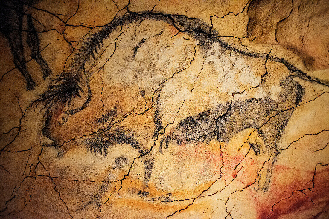 Die Höhlen von Altamira, Kantabrien. Spanische Felskunst. Es handelt sich um die größte Darstellung von Höhlenmalerei in Spanien. Nationalmuseum und Forschungszentrum von Altamira, Santillana del Mar, Kantabrien, Spanien.