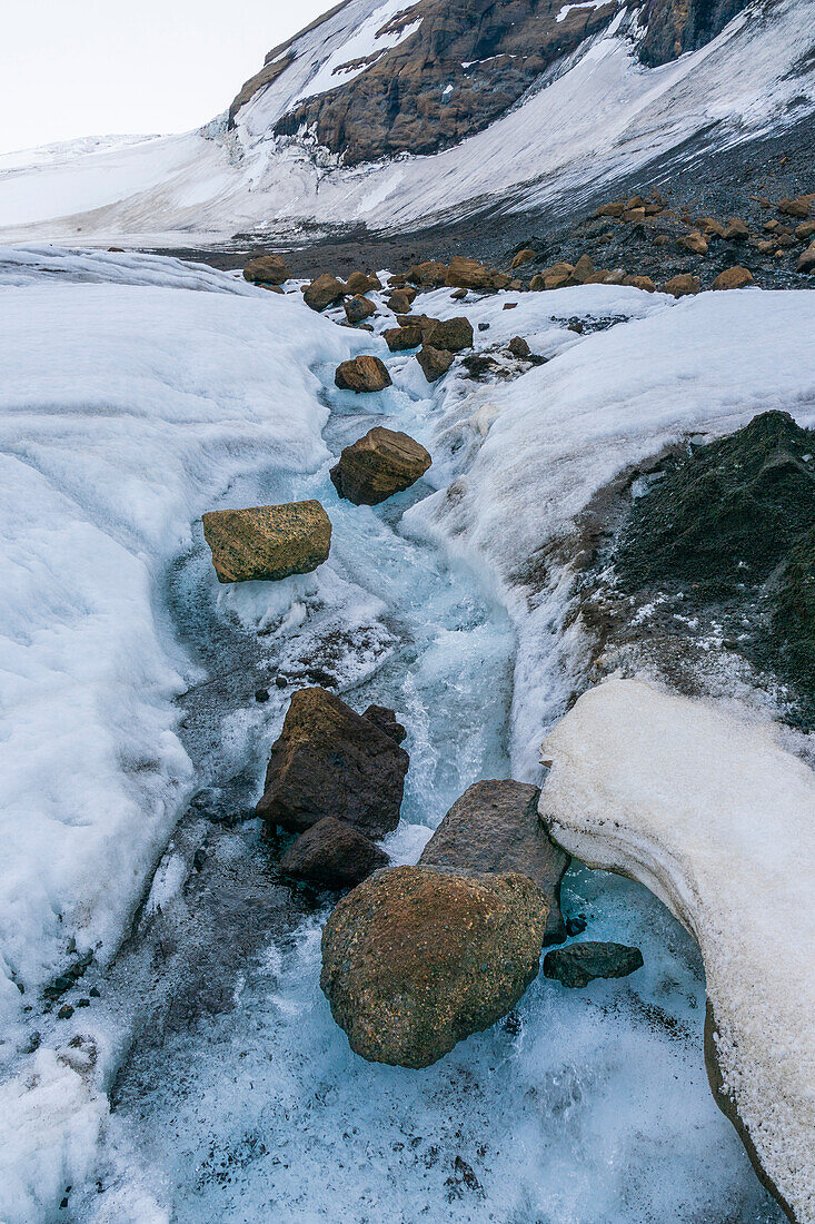 Brown Bluff, Tabarin-Halbinsel, Weddell-Meer, Antarktis.