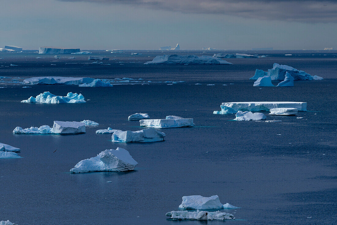 Eisberg im Weddellmeer, Brown Bluff, Tabarin-Halbinsel, Antarktis.