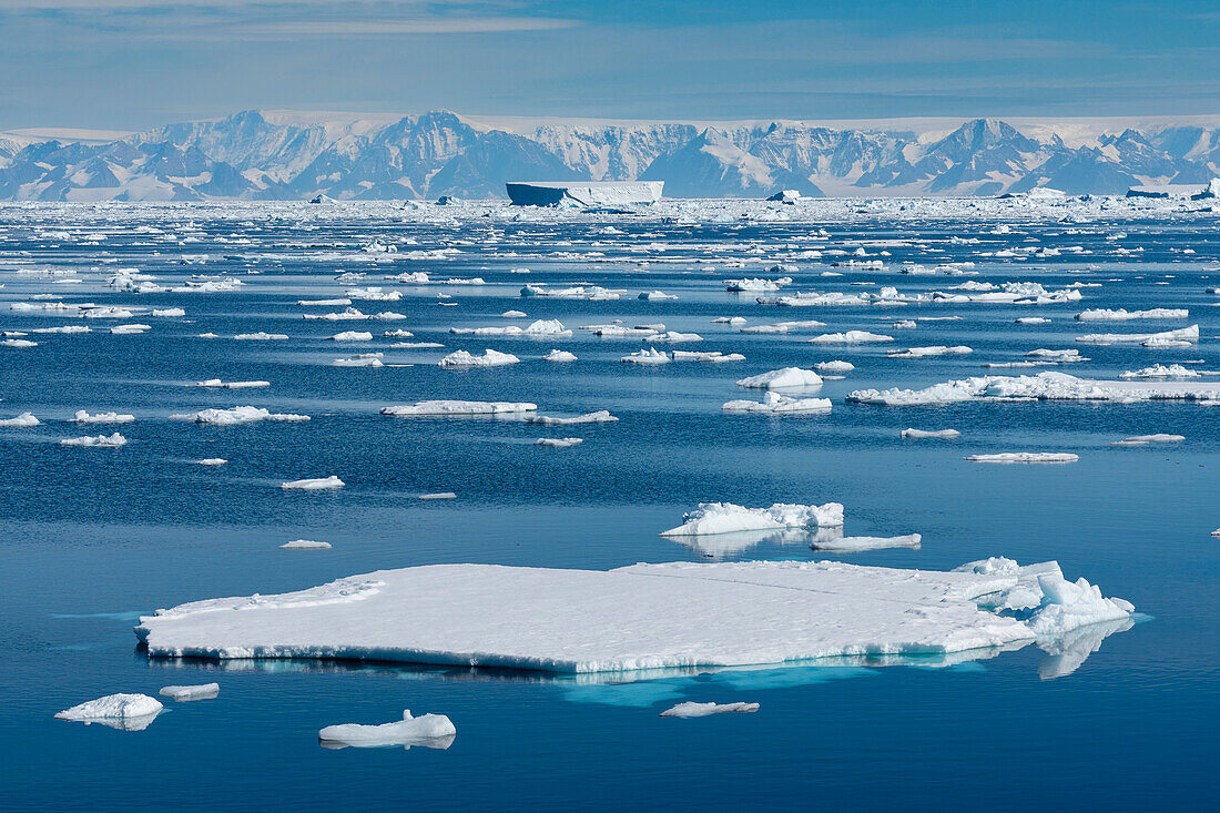 Icebergs, Larsen B Ice Shelf, Weddell Sea, Antarctica.