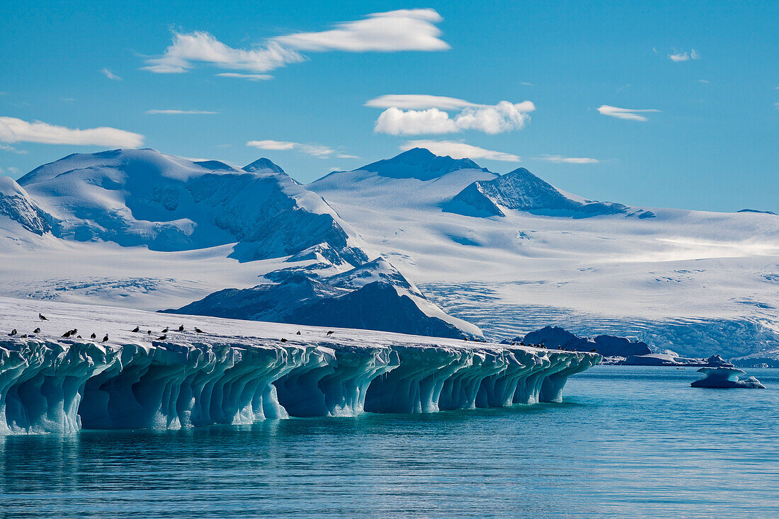 Larsen Inlet, Weddell Sea, Antarctica.