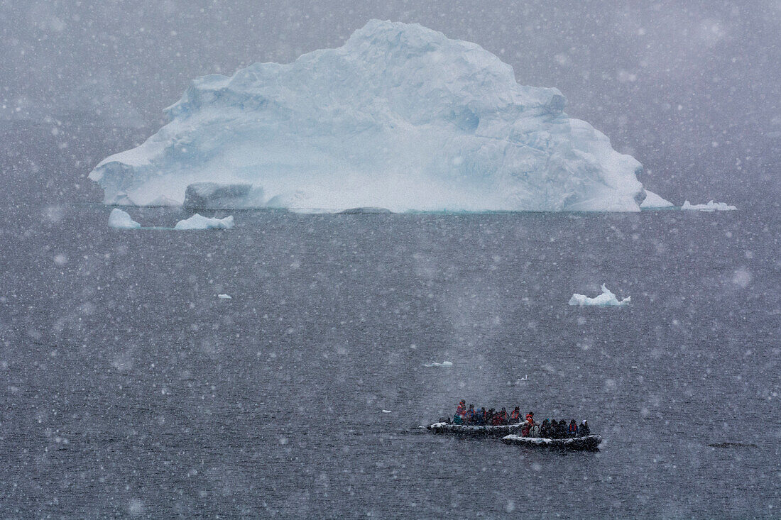 Snowstorm over icebergs in Portal Point, Antarctica. Antarctica.