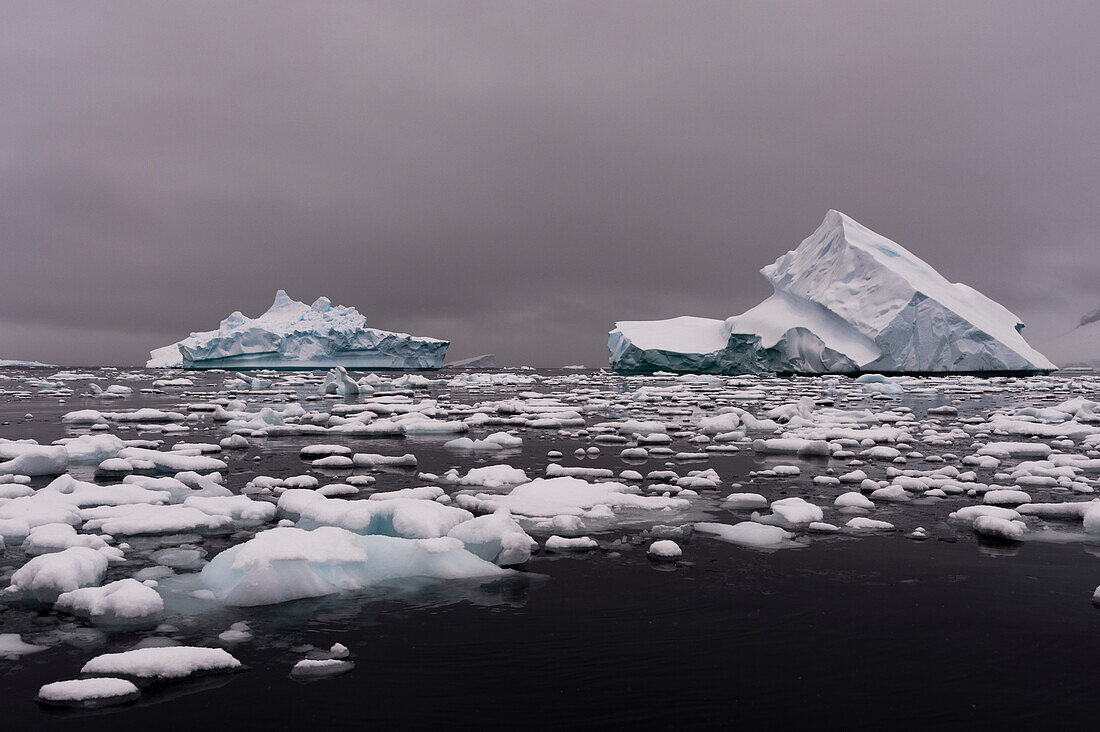 Eisberge in Portal Point, Antarktis. Die Antarktis.